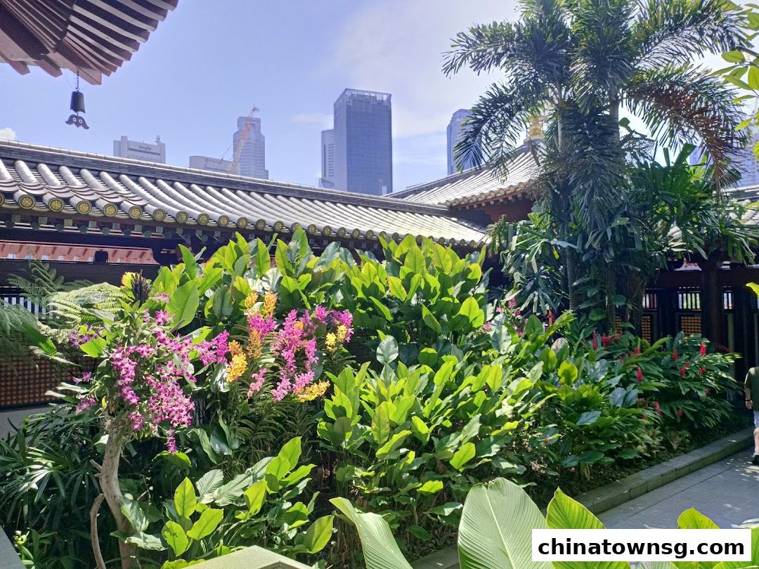 Rooftop Garden, Toothrelic Temple, Chinatown