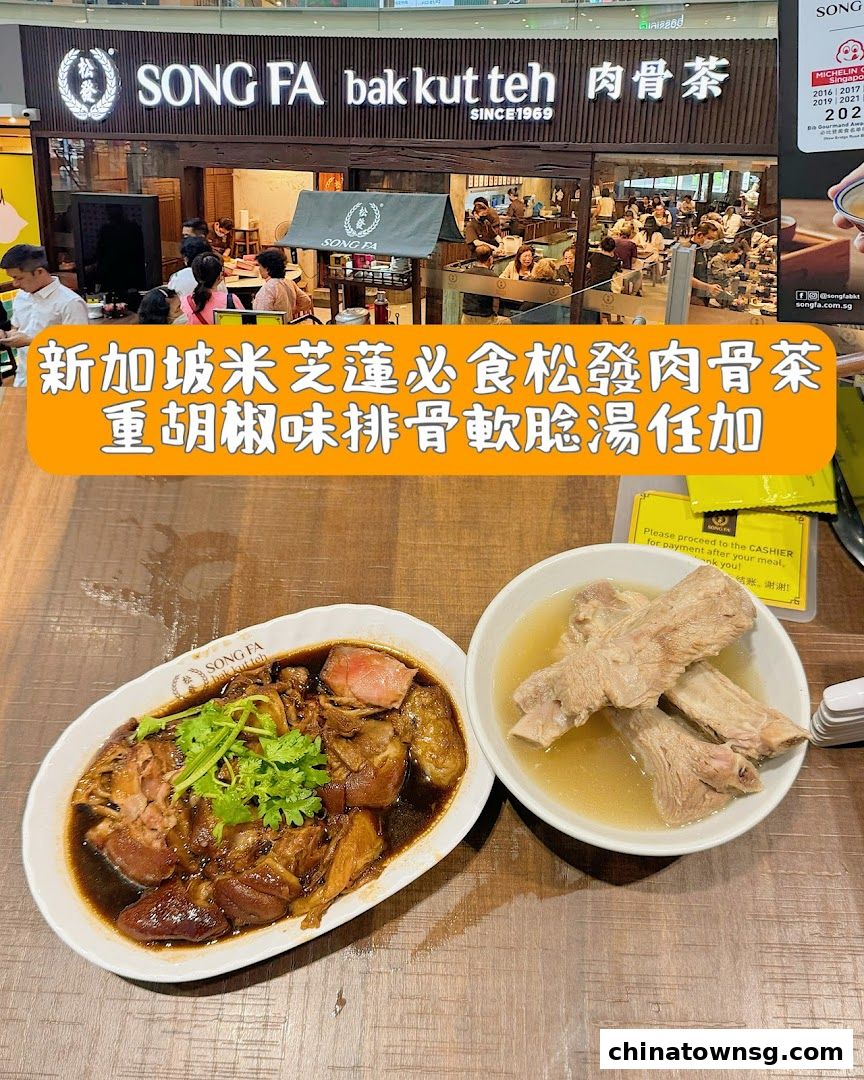 Song Fa Bak Kut Teh Chinatown Point