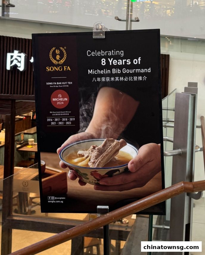 Song Fa Bak Kut Teh Chinatown Point