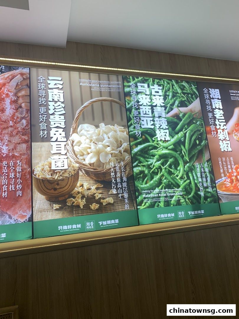 Xiang Xiang Hunan Cuisine 湘香湖南菜 Chinatown