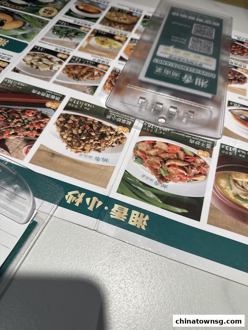 Xiang Xiang Hunan Cuisine 湘香湖南菜 Chinatown