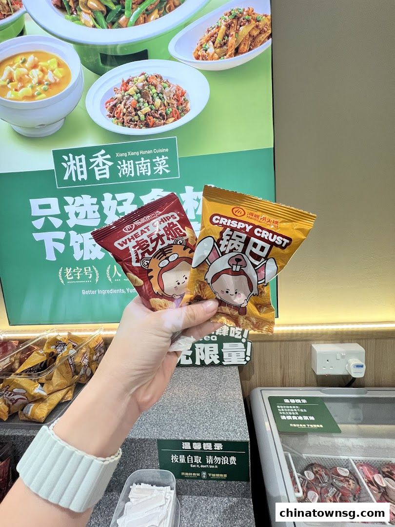 Xiang Xiang Hunan Cuisine 湘香湖南菜 Chinatown