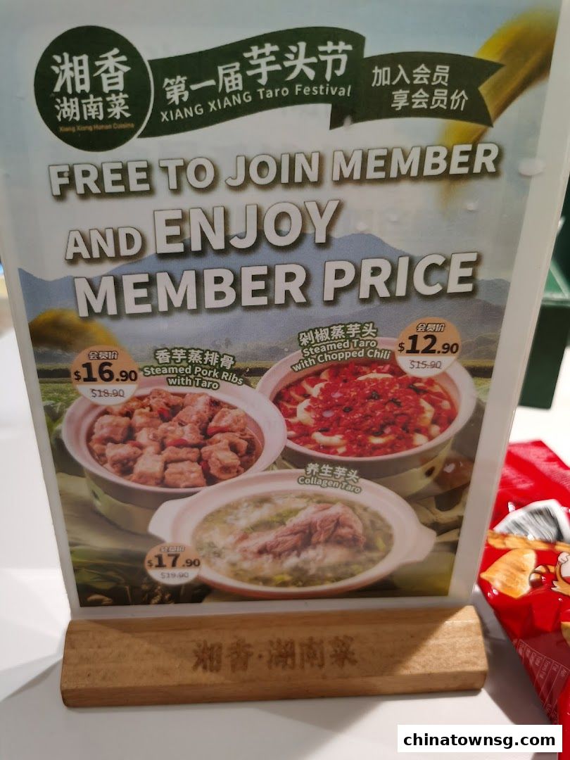 Xiang Xiang Hunan Cuisine 湘香湖南菜 Chinatown