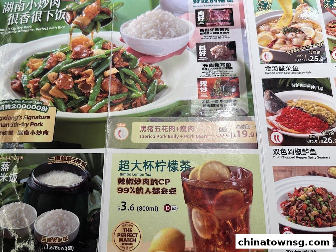 Xiang Xiang Hunan Cuisine 湘香湖南菜 Chinatown