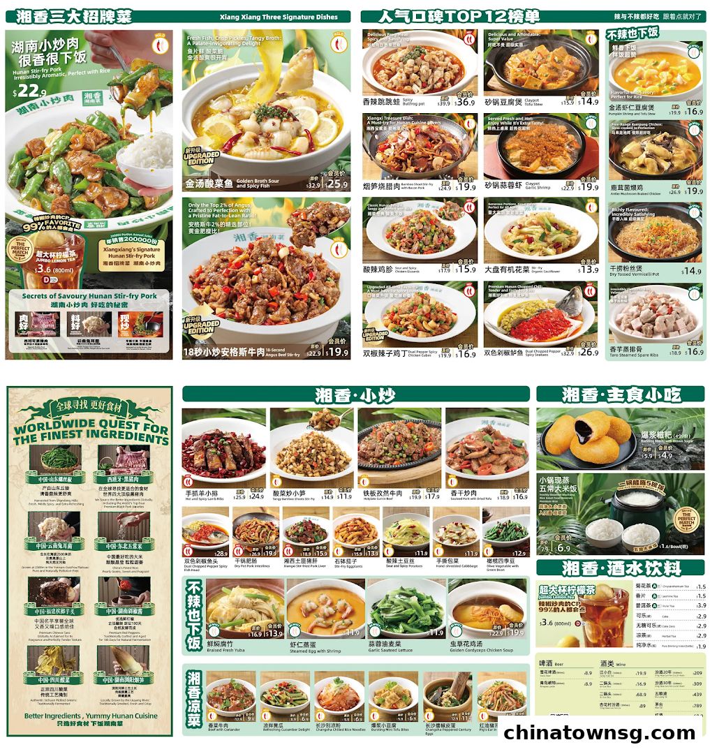 Xiang Xiang Hunan Cuisine 湘香湖南菜 Chinatown