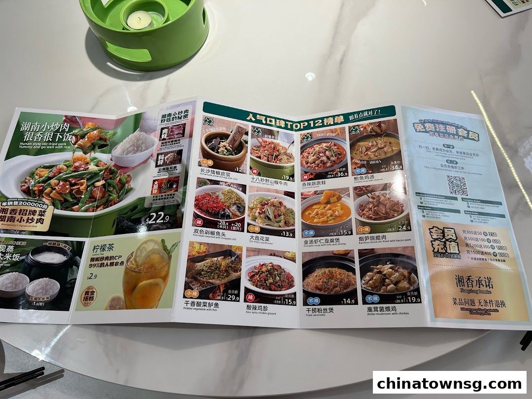 Xiang Xiang Hunan Cuisine 湘香湖南菜 Chinatown