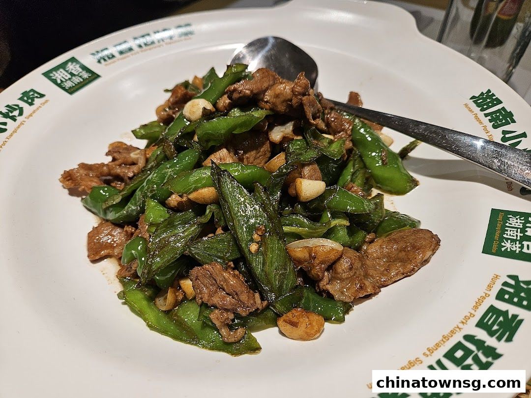 Xiang Xiang Hunan Cuisine 湘香湖南菜 Chinatown