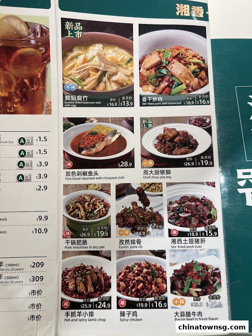 Xiang Xiang Hunan Cuisine 湘香湖南菜 Chinatown