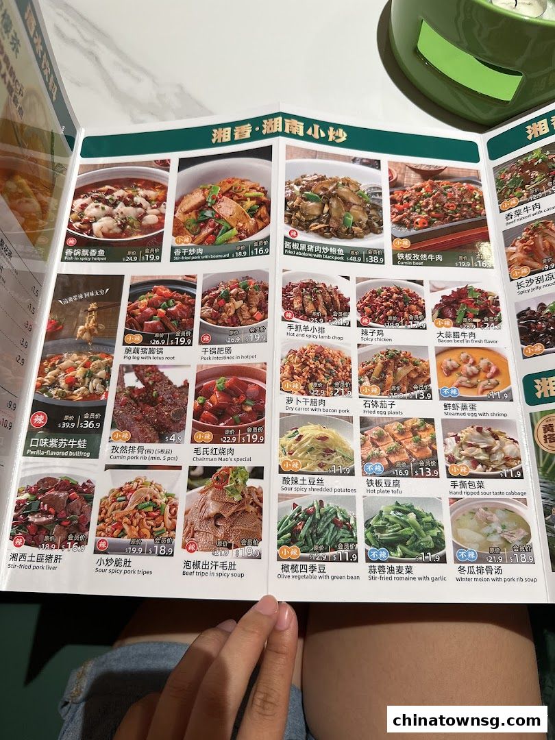 Xiang Xiang Hunan Cuisine 湘香湖南菜 Chinatown