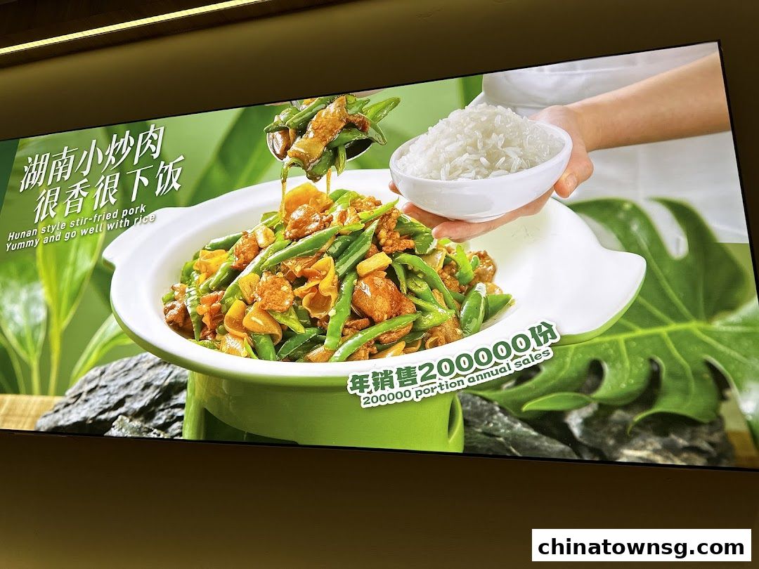 Xiang Xiang Hunan Cuisine 湘香湖南菜 Chinatown