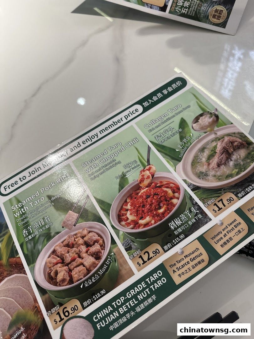 Xiang Xiang Hunan Cuisine 湘香湖南菜 Chinatown