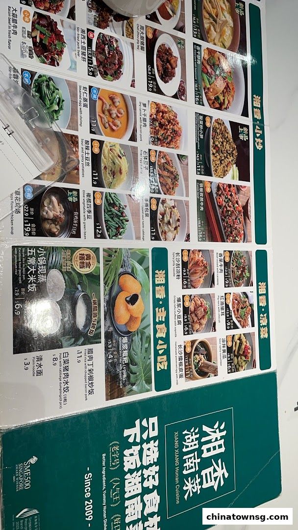 Xiang Xiang Hunan Cuisine 湘香湖南菜 Chinatown