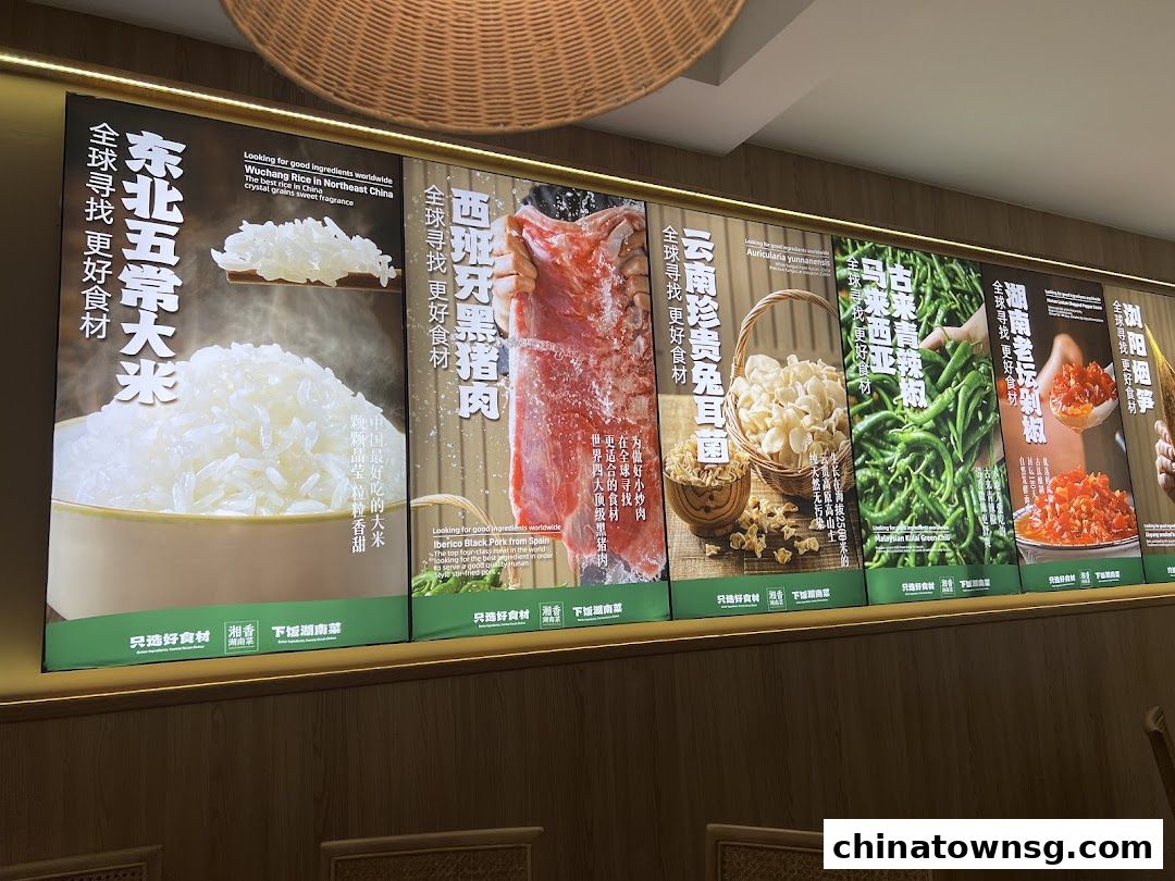 Xiang Xiang Hunan Cuisine 湘香湖南菜 Chinatown