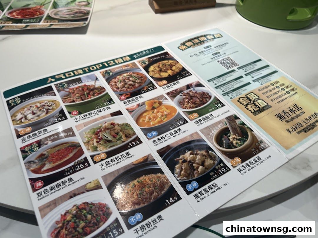 Xiang Xiang Hunan Cuisine 湘香湖南菜 Chinatown