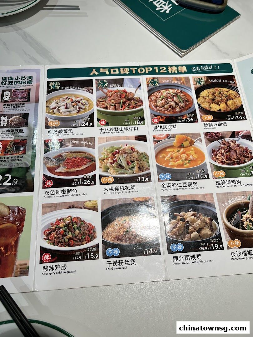 Xiang Xiang Hunan Cuisine 湘香湖南菜 Chinatown