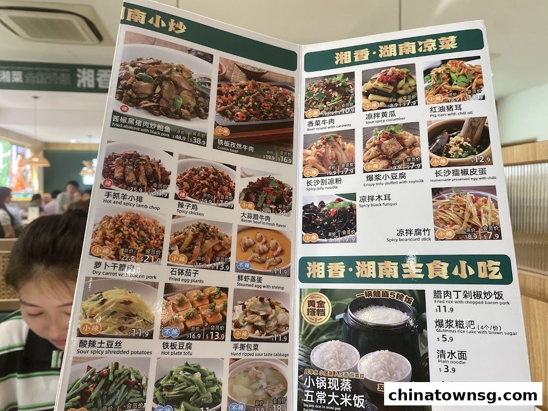 Xiang Xiang Hunan Cuisine 湘香湖南菜 Chinatown