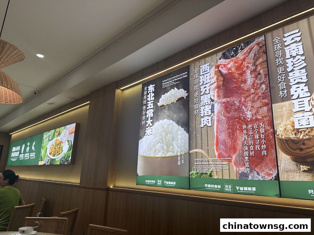 Xiang Xiang Hunan Cuisine 湘香湖南菜 Chinatown