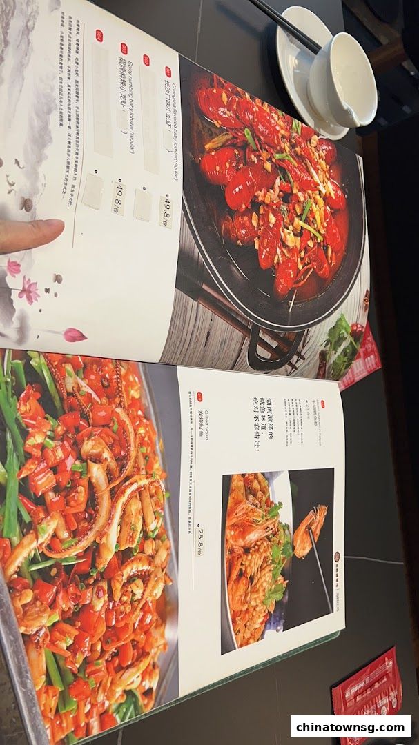 Xiang Xiang Hunan Cuisine 湘香湖南菜 Chinatown