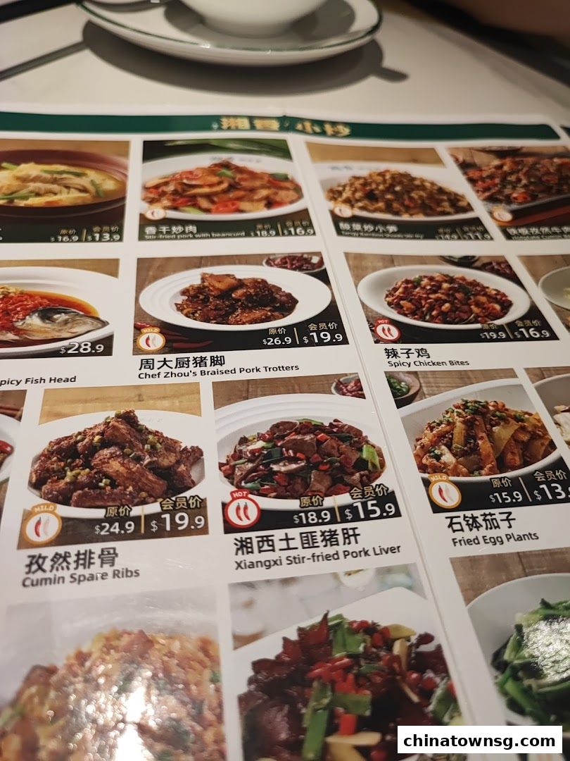 Xiang Xiang Hunan Cuisine 湘香湖南菜 Chinatown