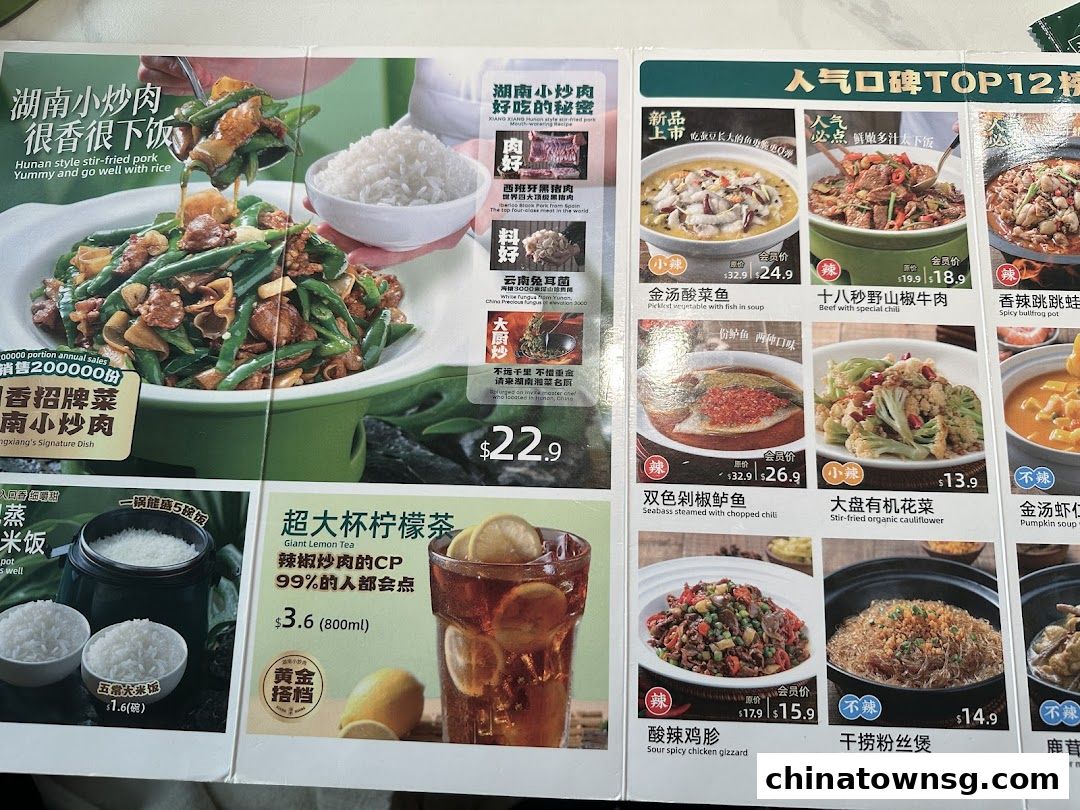 Xiang Xiang Hunan Cuisine 湘香湖南菜 Chinatown