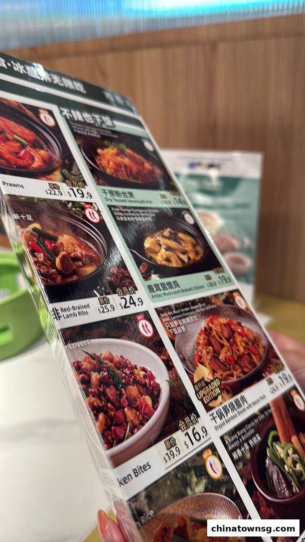 Xiang Xiang Hunan Cuisine 湘香湖南菜 Chinatown