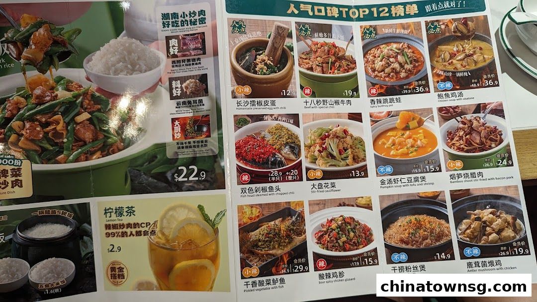 Xiang Xiang Hunan Cuisine 湘香湖南菜 Chinatown