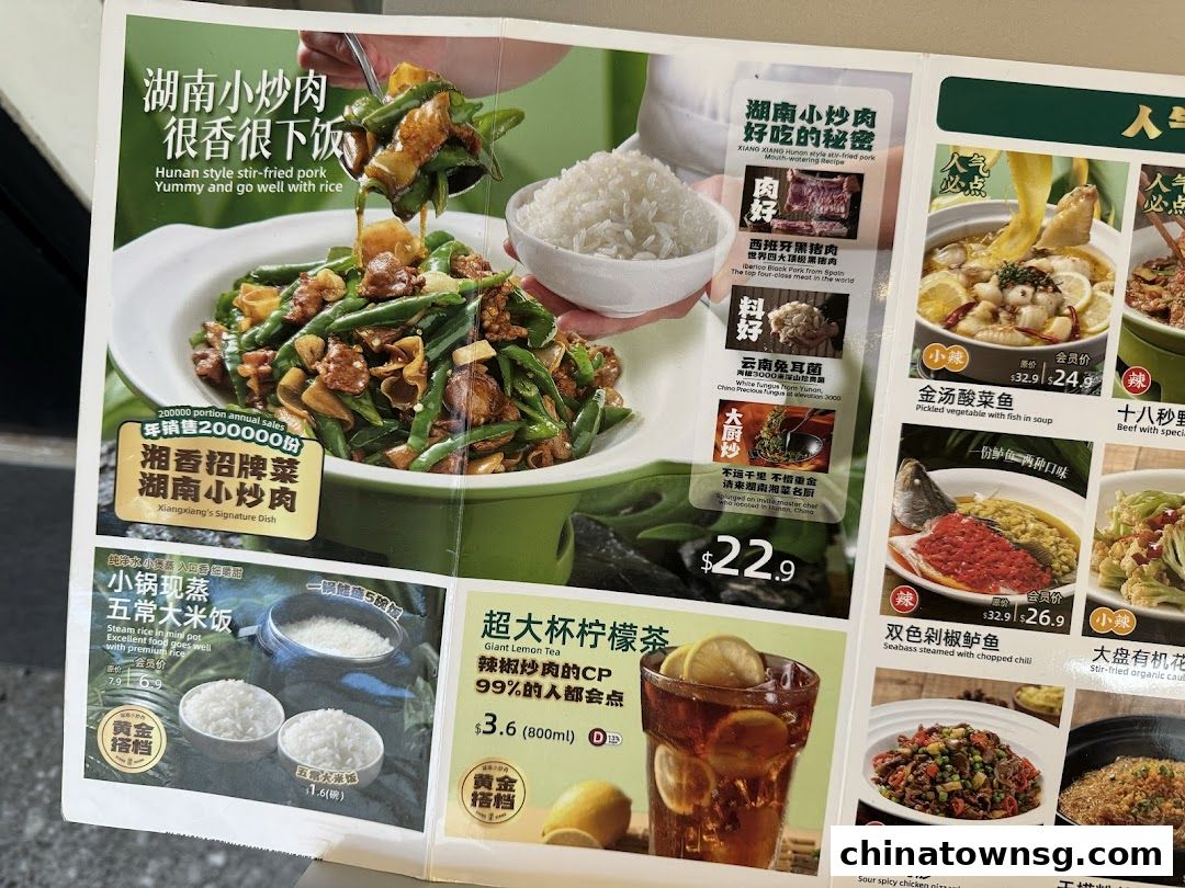 Xiang Xiang Hunan Cuisine 湘香湖南菜 Chinatown