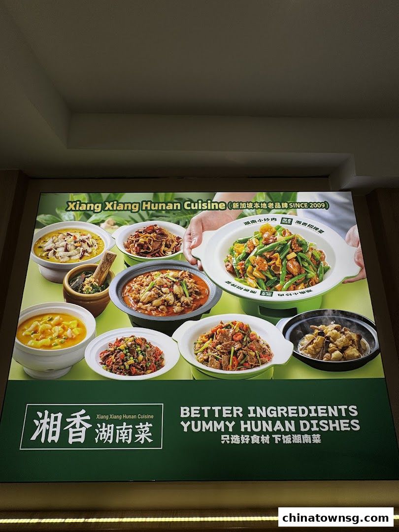 Xiang Xiang Hunan Cuisine 湘香湖南菜 Chinatown