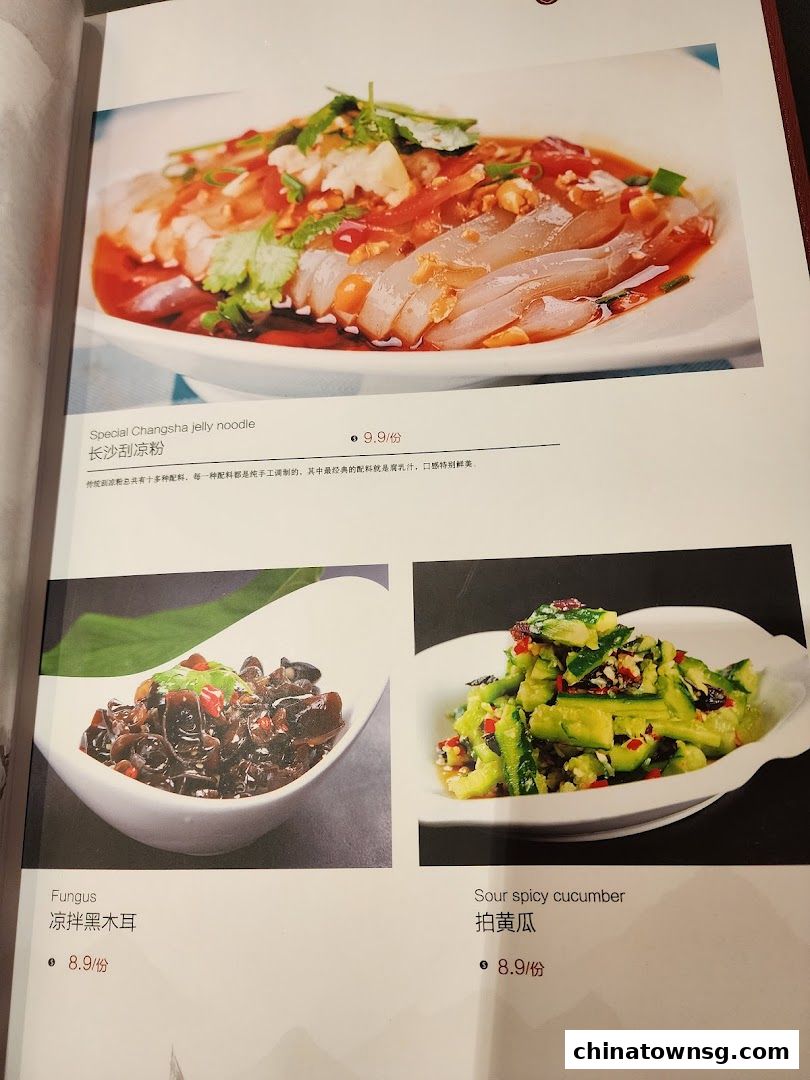 Xiang Xiang Hunan Cuisine 湘香湖南菜 Chinatown