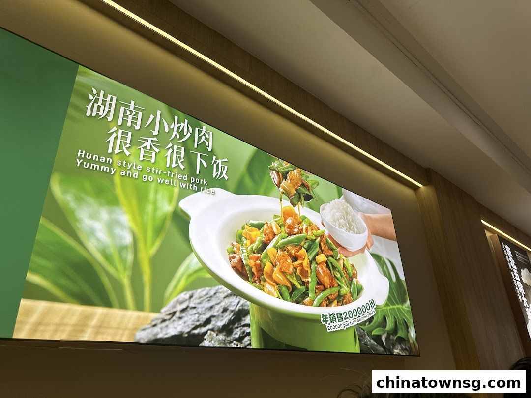 Xiang Xiang Hunan Cuisine 湘香湖南菜 Chinatown
