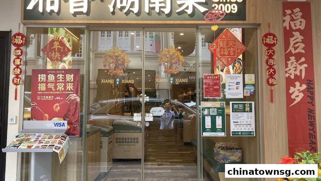 Xiang Xiang Hunan Cuisine 湘香湖南菜 Chinatown