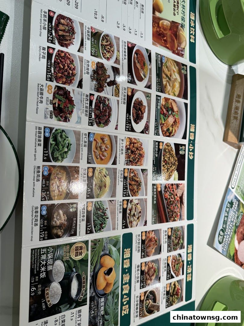 Xiang Xiang Hunan Cuisine 湘香湖南菜 Chinatown