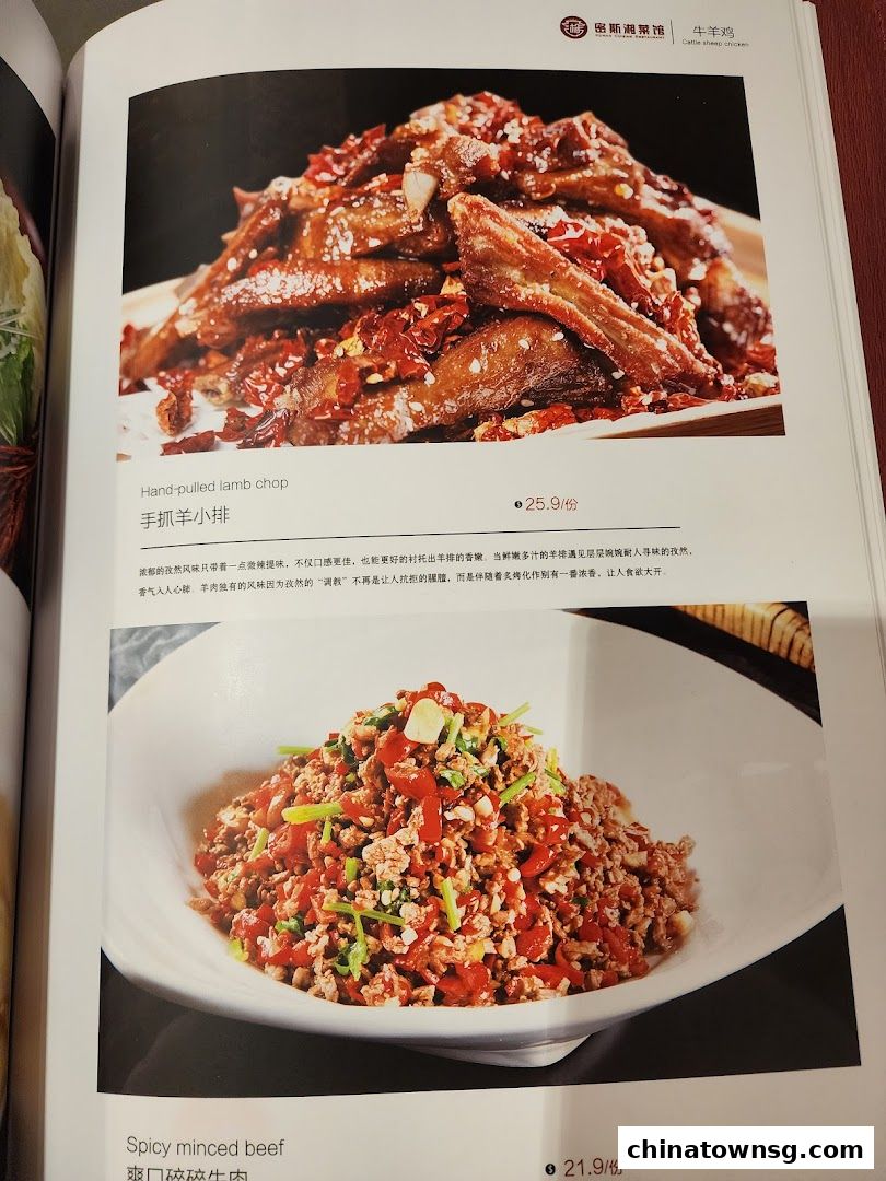 Xiang Xiang Hunan Cuisine 湘香湖南菜 Chinatown