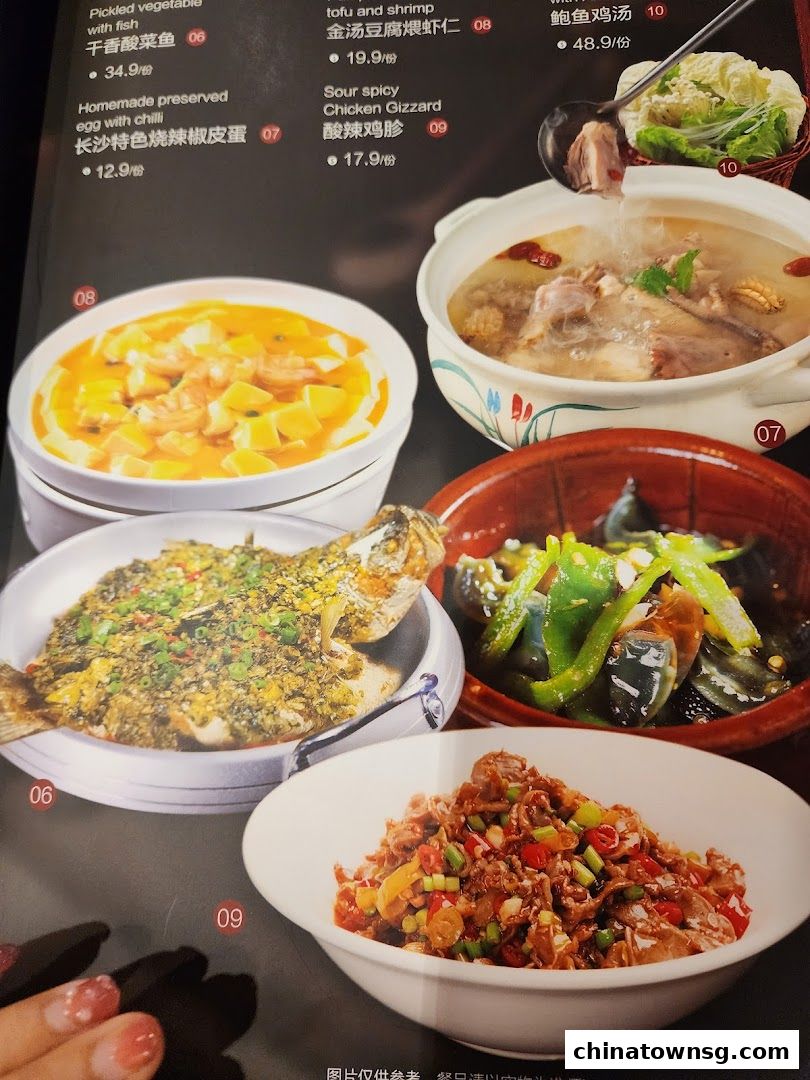 Xiang Xiang Hunan Cuisine 湘香湖南菜 Chinatown