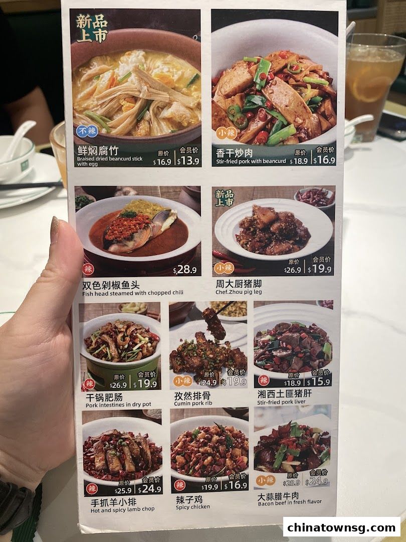 Xiang Xiang Hunan Cuisine 湘香湖南菜 Chinatown