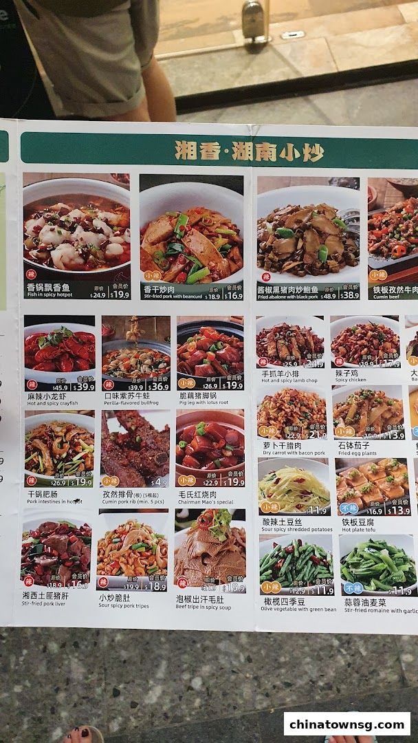 Xiang Xiang Hunan Cuisine 湘香湖南菜 Chinatown