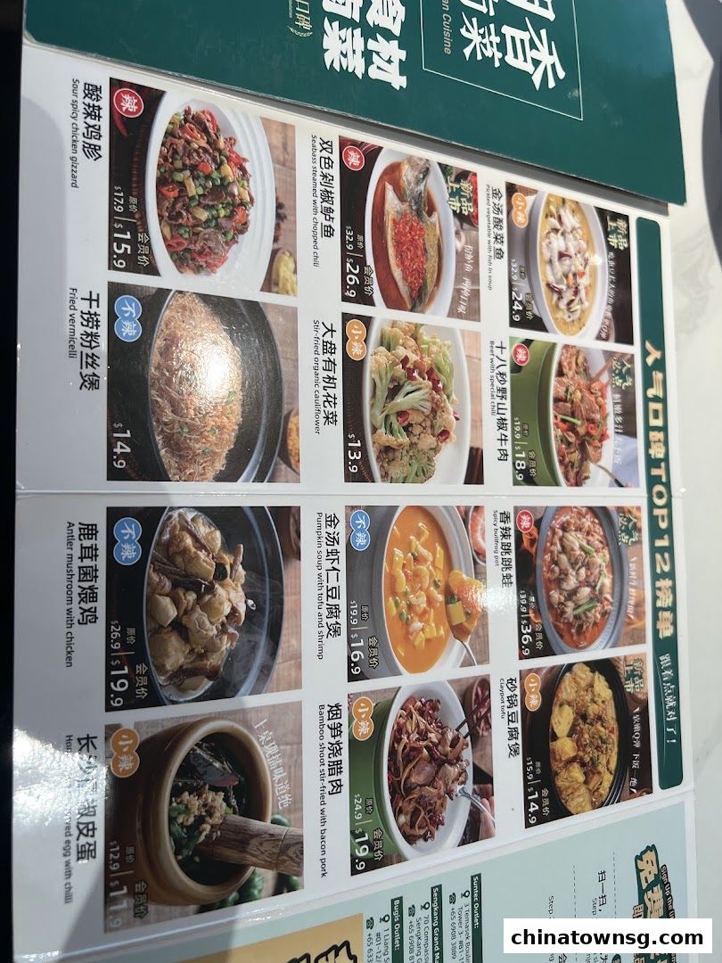 Xiang Xiang Hunan Cuisine 湘香湖南菜 Chinatown