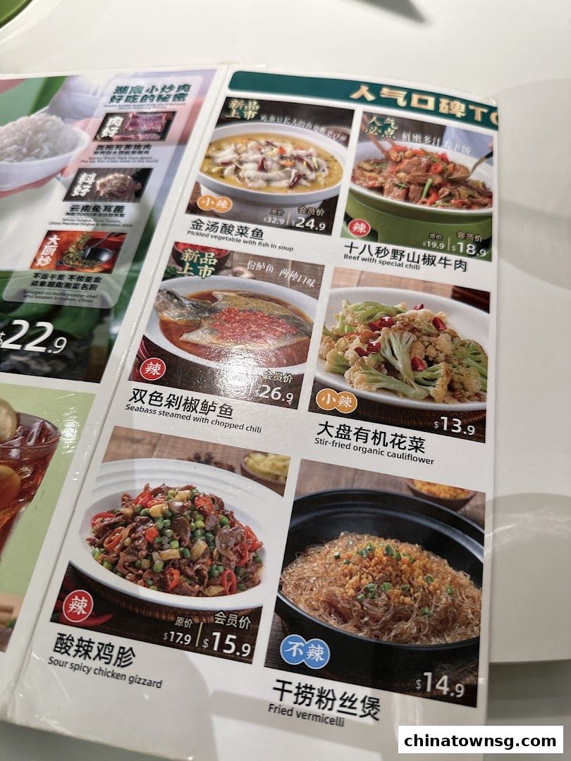 Xiang Xiang Hunan Cuisine 湘香湖南菜 Chinatown