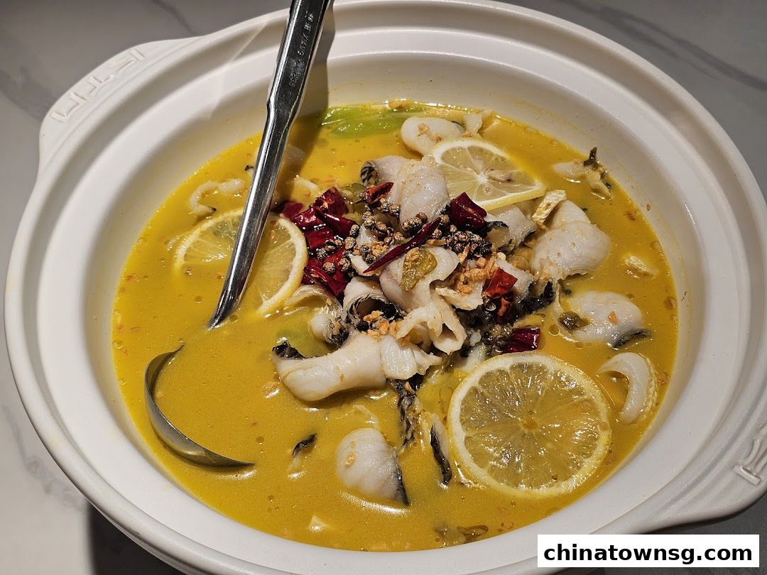 Xiang Xiang Hunan Cuisine 湘香湖南菜 Chinatown