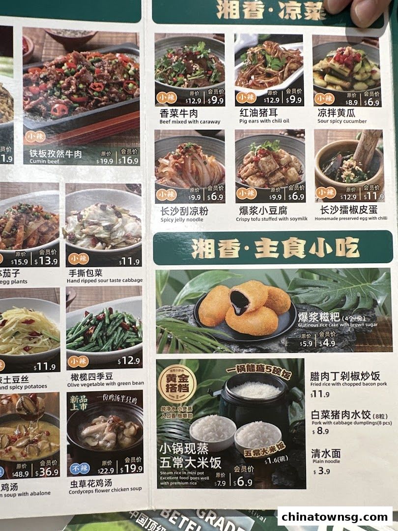 Xiang Xiang Hunan Cuisine 湘香湖南菜 Chinatown
