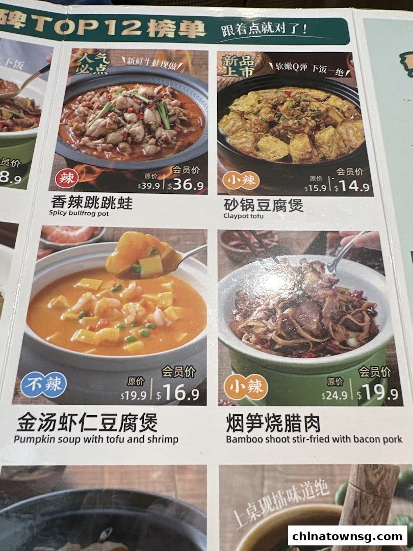 Xiang Xiang Hunan Cuisine 湘香湖南菜 Chinatown