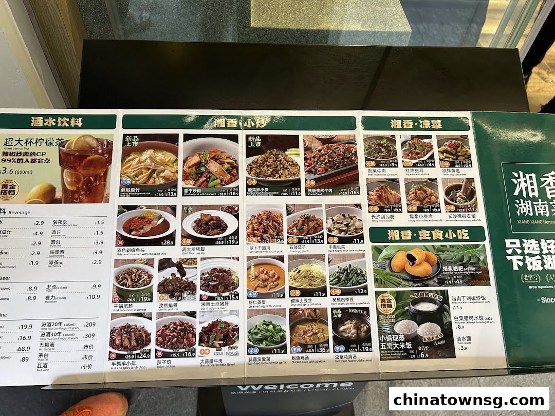 Xiang Xiang Hunan Cuisine 湘香湖南菜 Chinatown