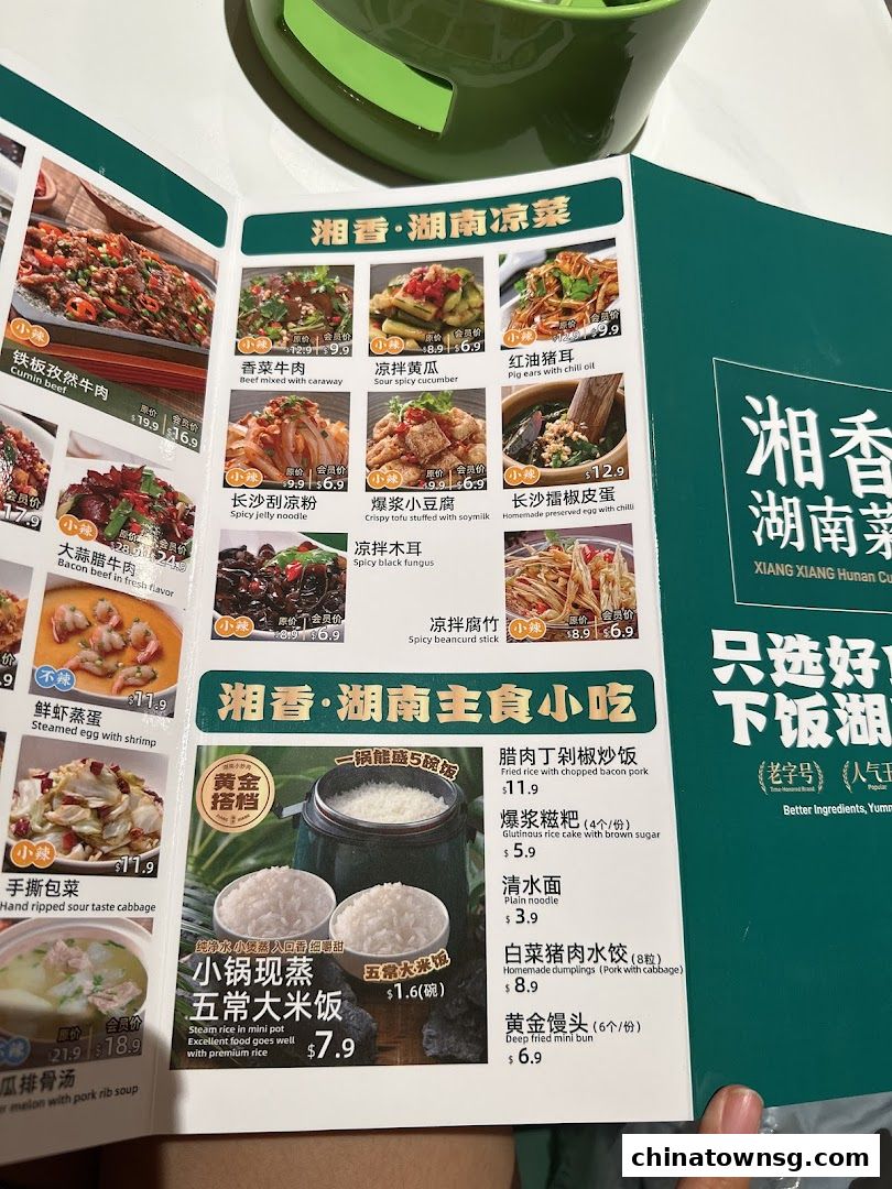 Xiang Xiang Hunan Cuisine 湘香湖南菜 Chinatown