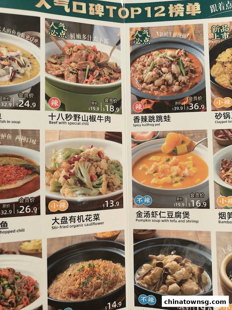 Xiang Xiang Hunan Cuisine 湘香湖南菜 Chinatown