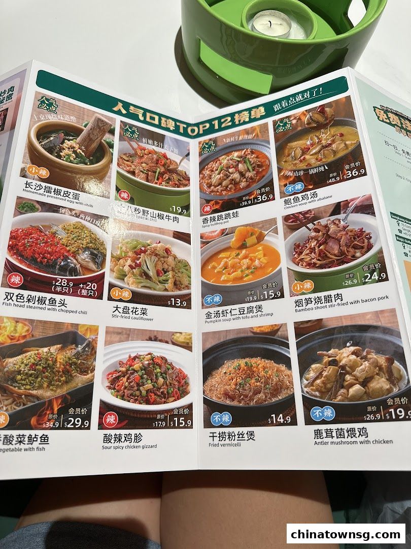 Xiang Xiang Hunan Cuisine 湘香湖南菜 Chinatown
