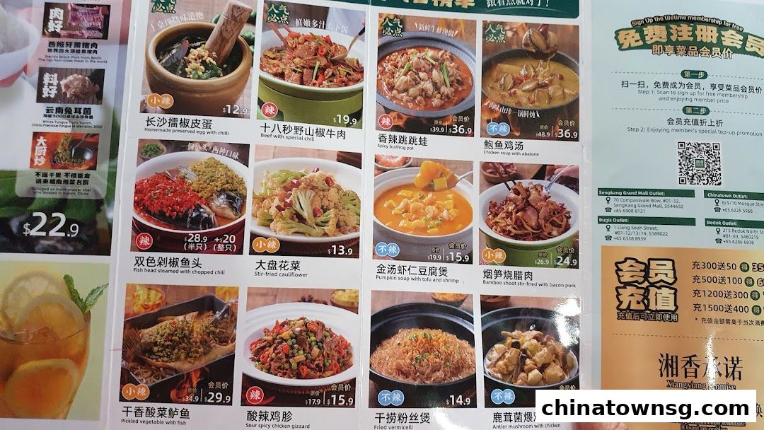 Xiang Xiang Hunan Cuisine 湘香湖南菜 Chinatown