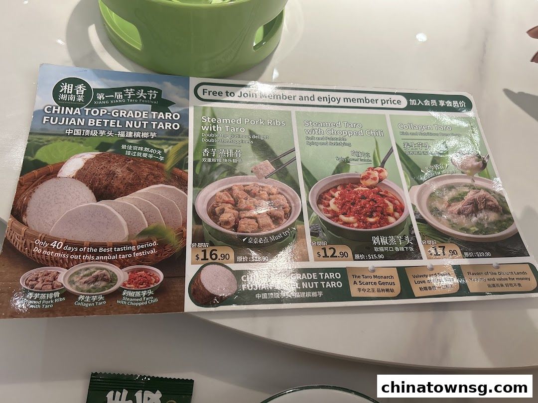 Xiang Xiang Hunan Cuisine 湘香湖南菜 Chinatown