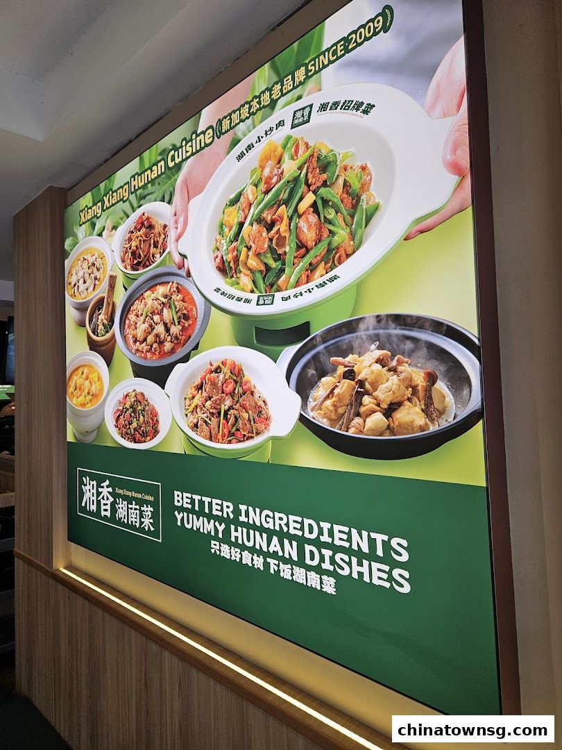 Xiang Xiang Hunan Cuisine 湘香湖南菜 Chinatown